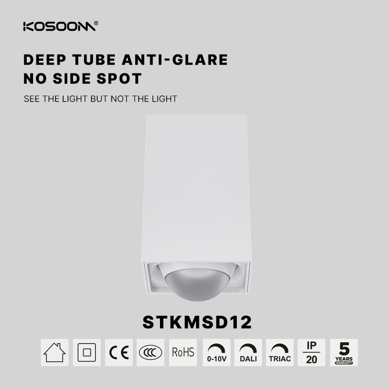 Personnalisé Haute efficacité CRI80 12W  LED Spots Ajustable Poutre Angle 24°/36° 600LM STKMSB12-Kosoom-Downlights