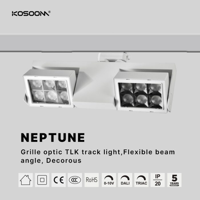 Vente en gros Lentille LED Bridgelux 5050 Lifud TLKC-TLKC060 Kosoom-Downlights